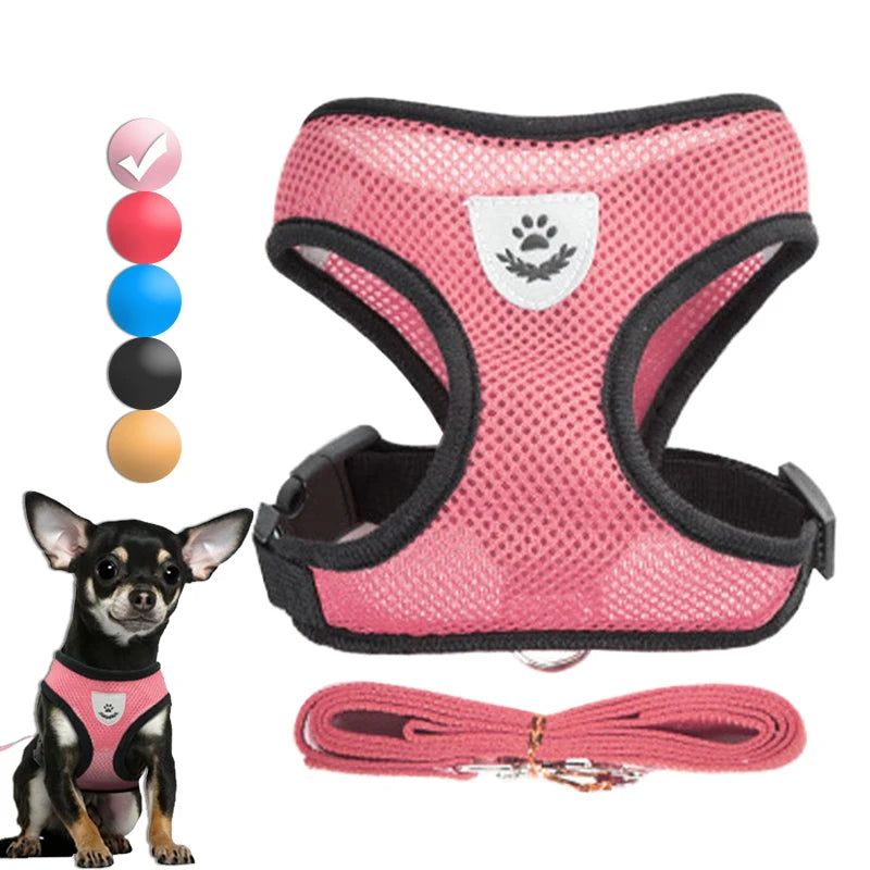 Adjustable Small Dog & Cat Harness Set