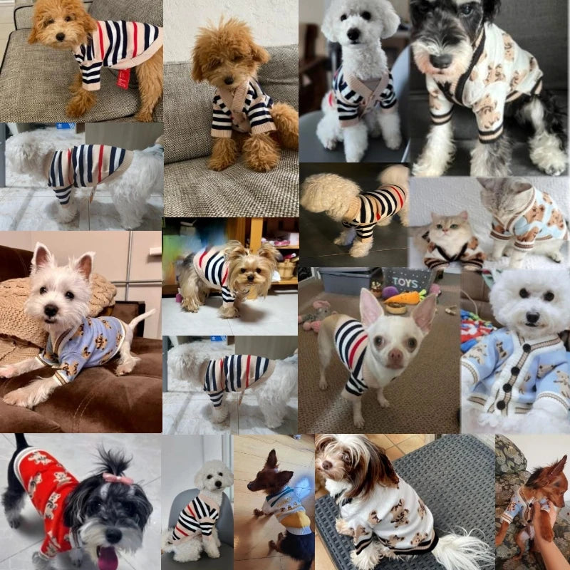 Luxury Striped Pet Cardigan Sweater