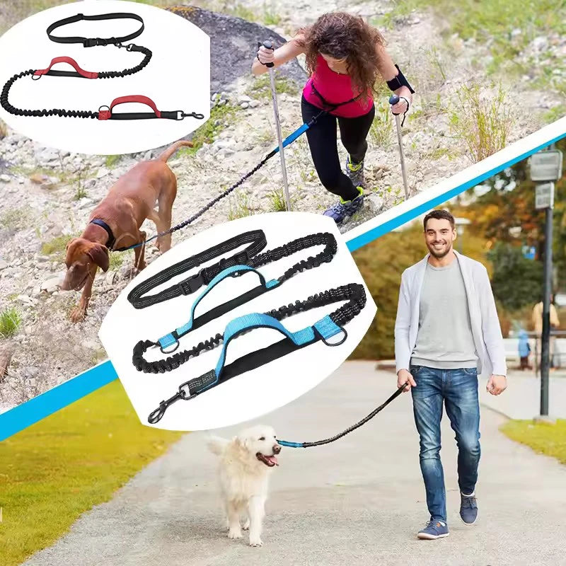 Dual-Handle Reflective Elastic Dog Leash