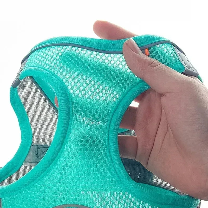 Adjustable Puppy & Cat Harness Set