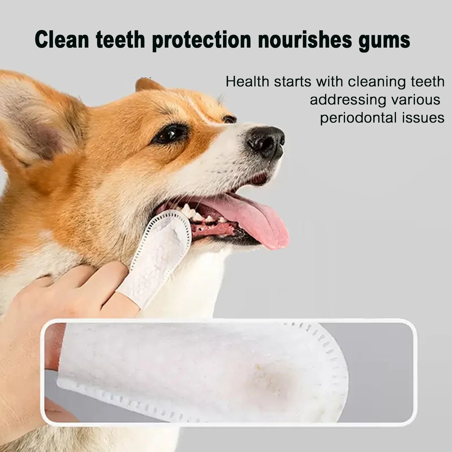 Pet Dental Finger Wipes for Dogs & Cats