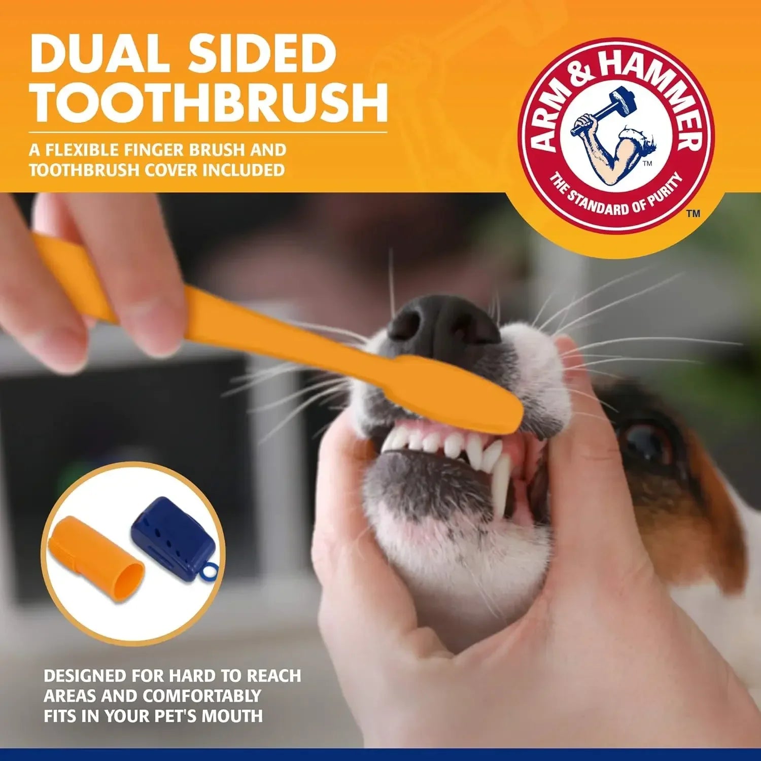 Pet Dental Care Kit for Dogs & Cats