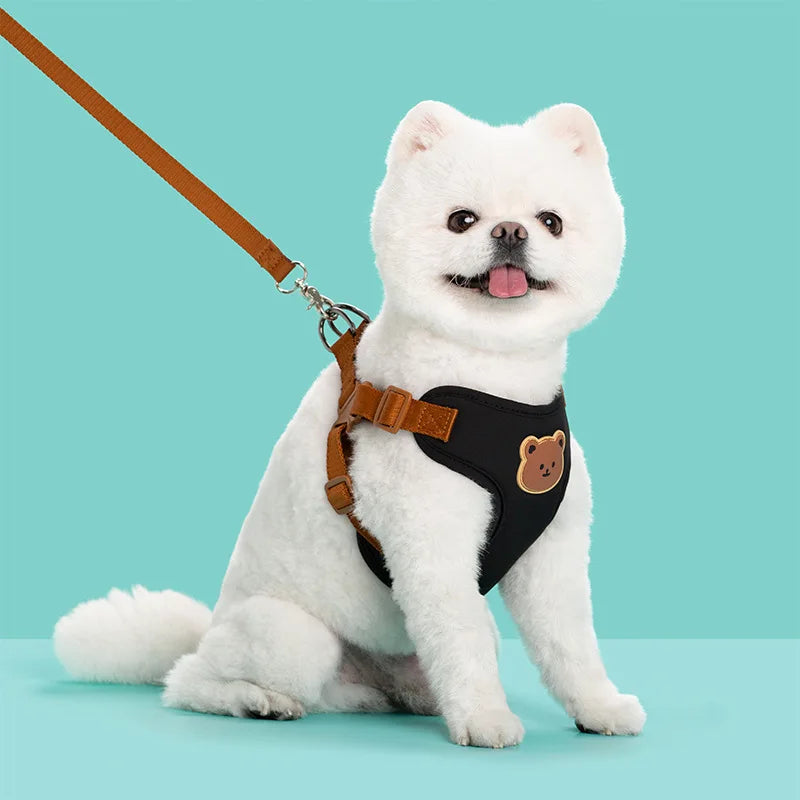Breathable Dog & Cat Harness Set