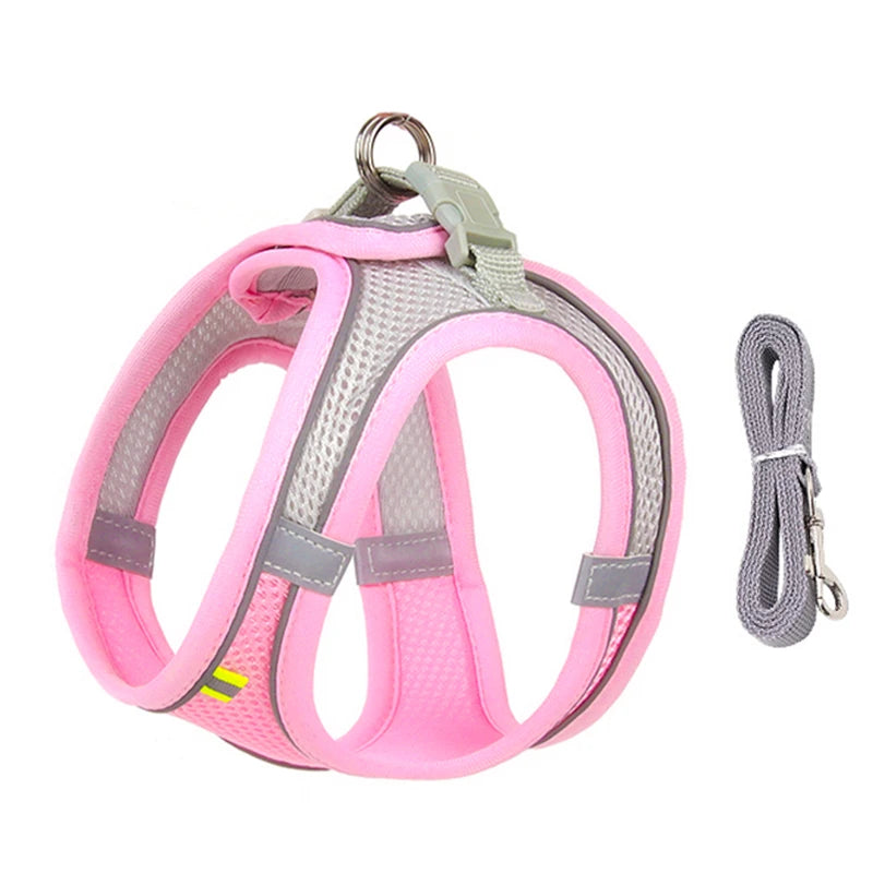 Adjustable Small Dog & Cat Harness Set