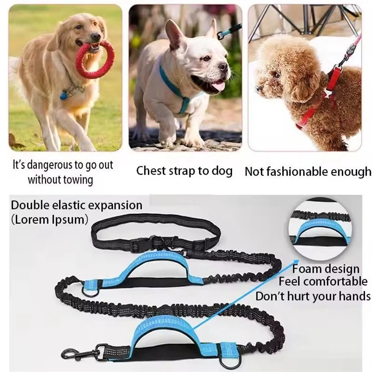 Dual-Handle Reflective Elastic Dog Leash