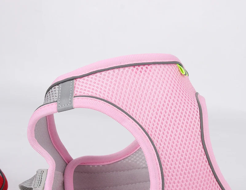 Adjustable Small Dog & Cat Harness Set