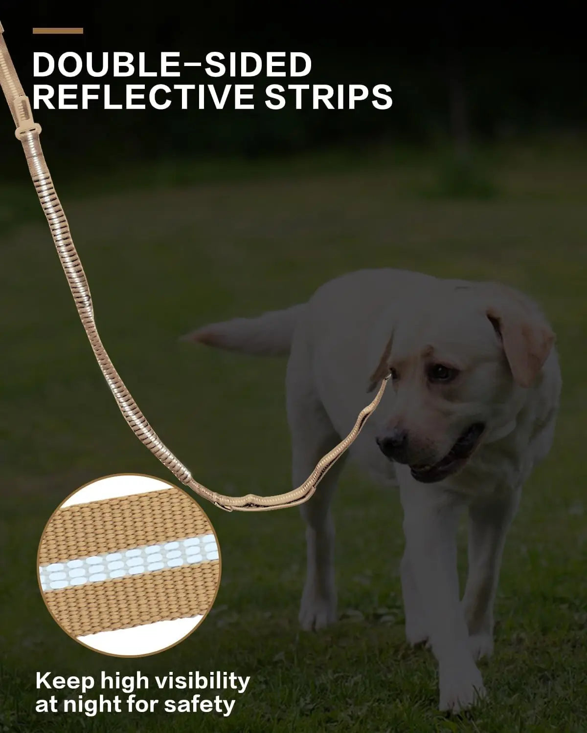 Reflective Shock-Absorbing Dog Leash with Seatbelt