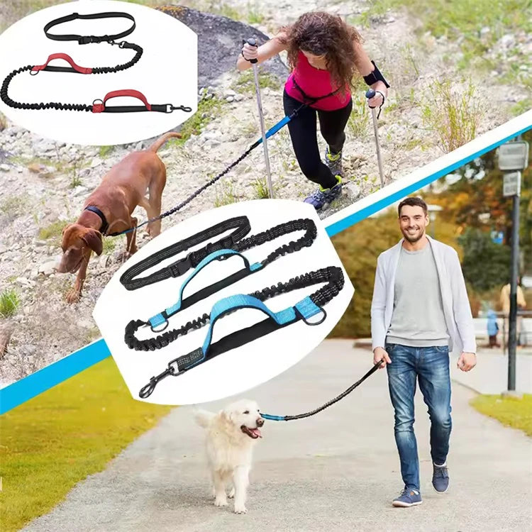 Dual-Handle Reflective Elastic Dog Leash