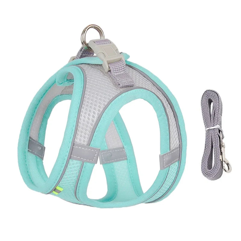 Adjustable Puppy & Cat Harness Set