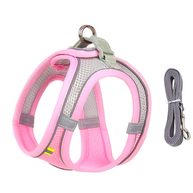 Adjustable Small Dog & Cat Harness Set