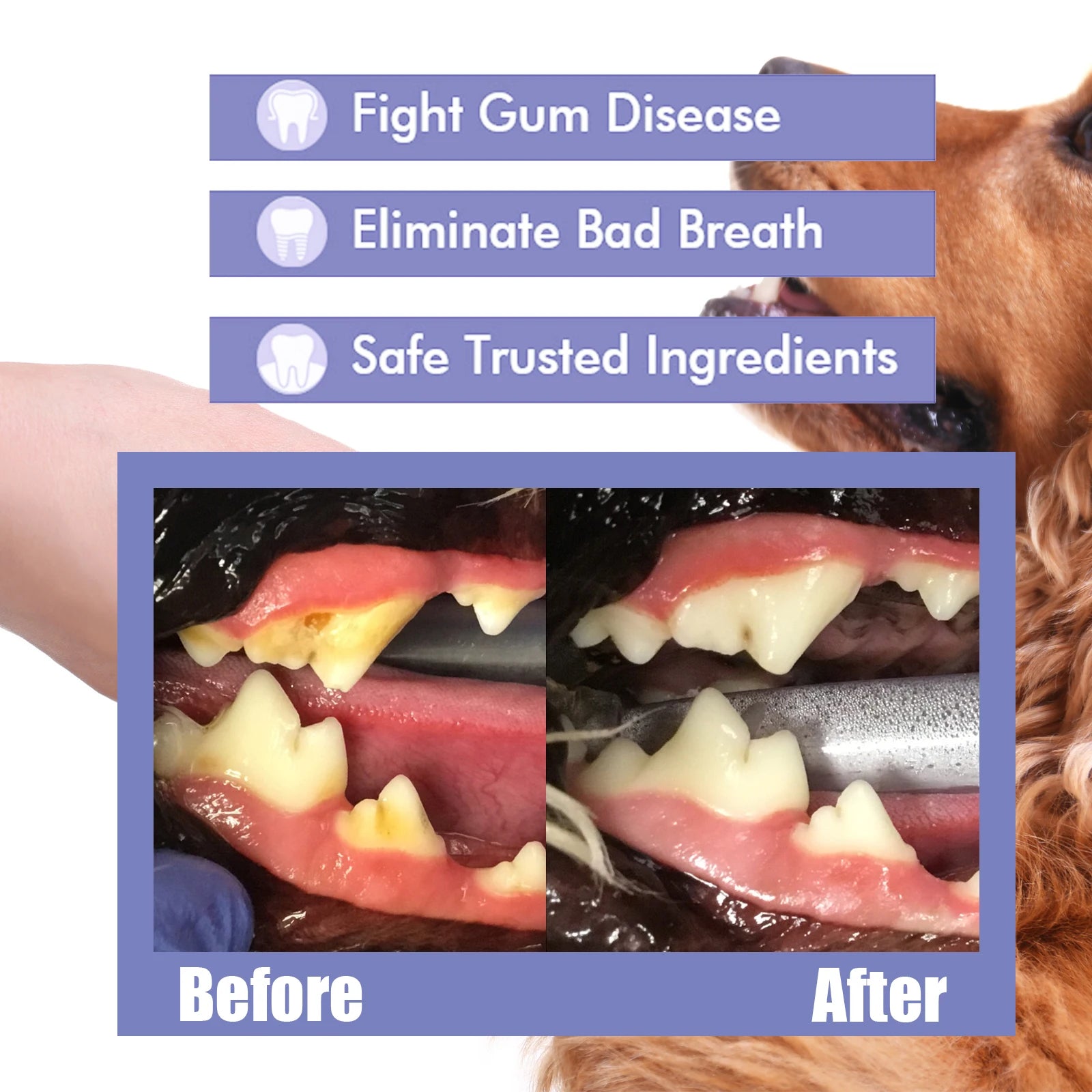 Pet Dental Spray for Dogs & Cats