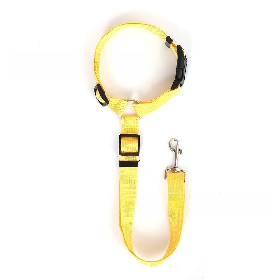2-in-1 Pet Car Seat Belt & Leash