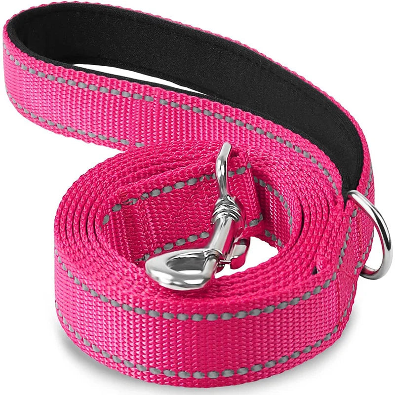 Reflective Pet Harness & Leash Set