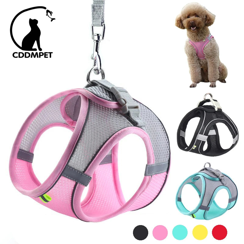 Adjustable Small Dog & Cat Harness Set