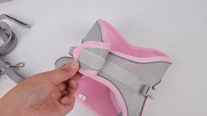 Adjustable Small Dog & Cat Harness Set
