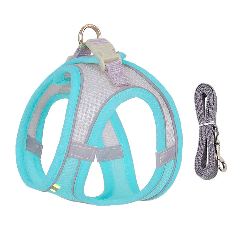 Adjustable Small Dog & Cat Harness Set