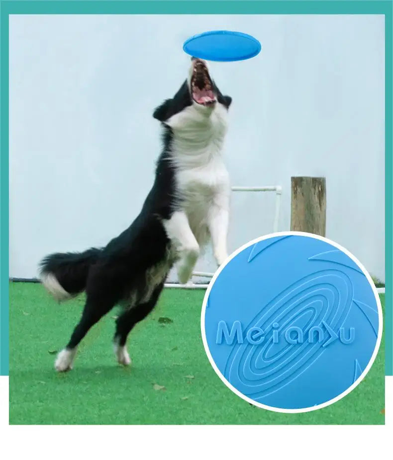 Bite-Resistant Dog Flying Disc Toy