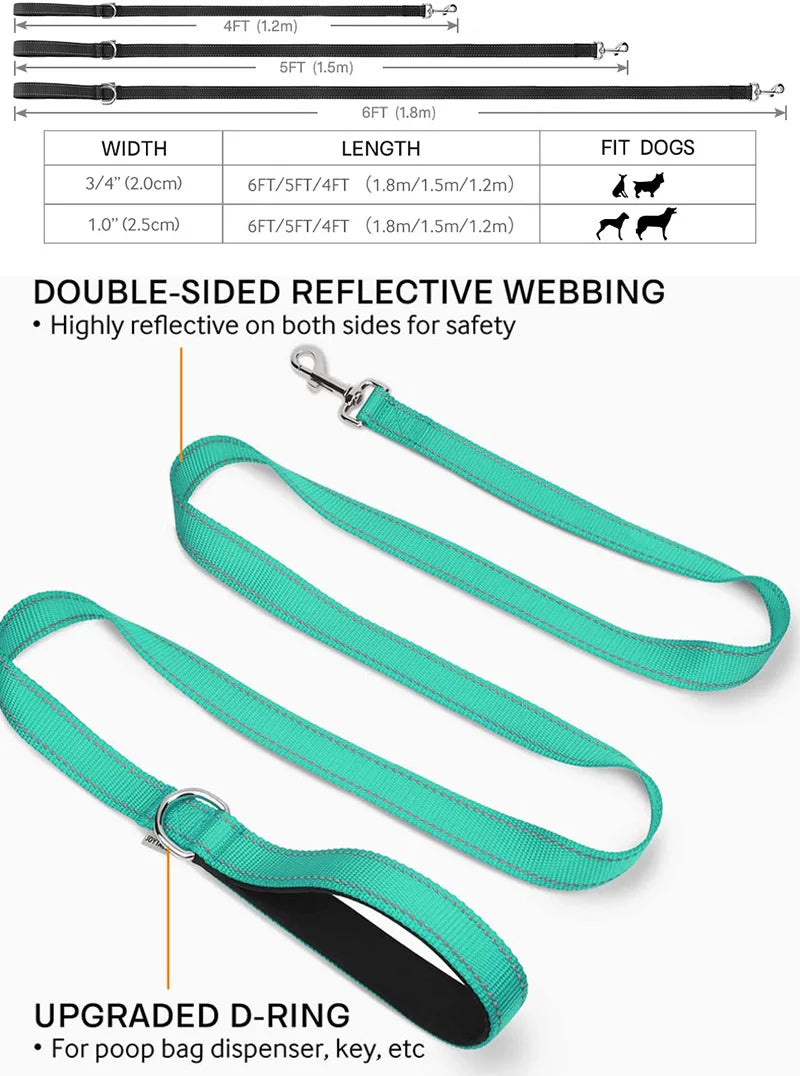 Reflective Pet Harness & Leash Set